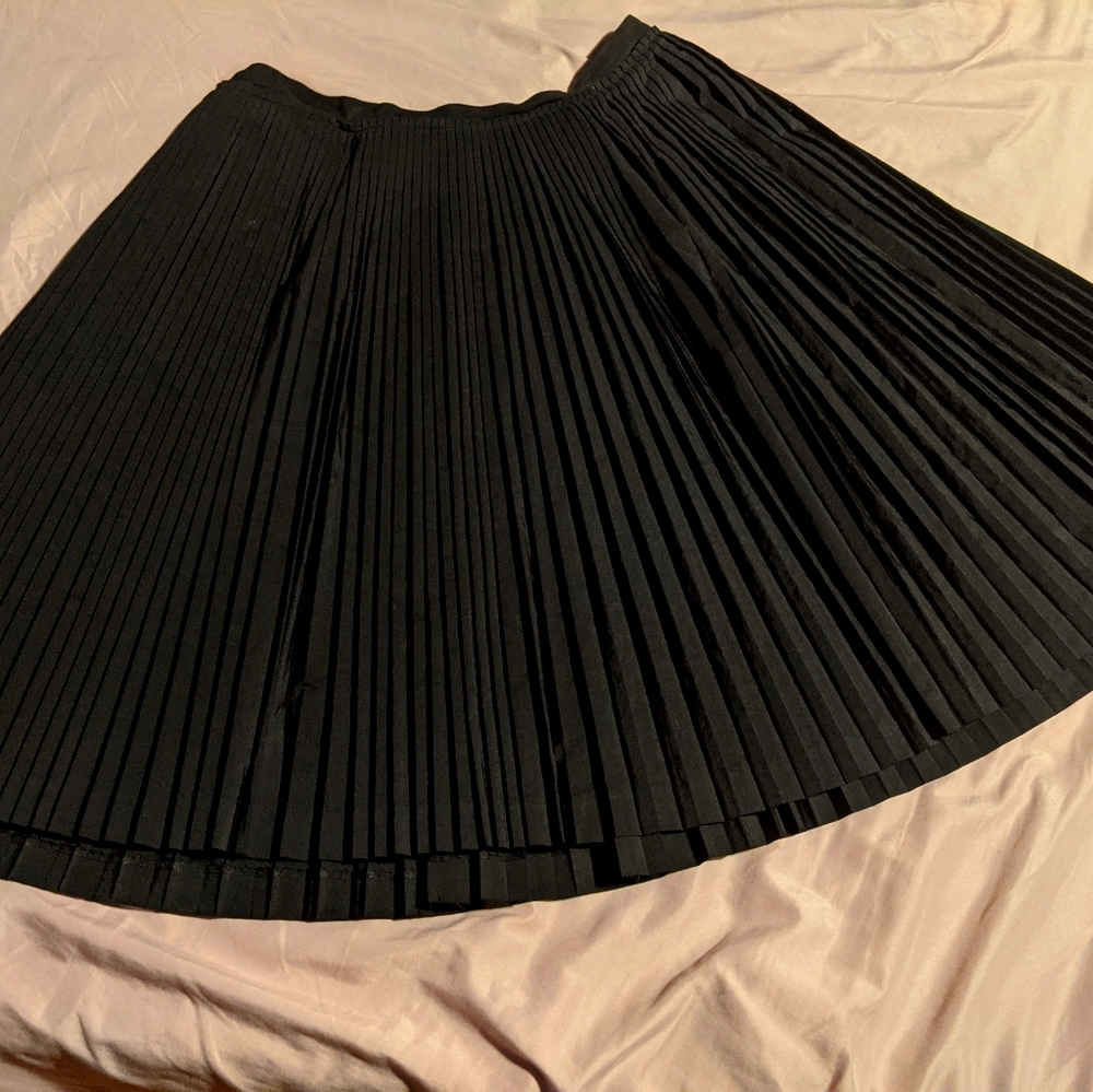 Banana republic pleaded black skirt